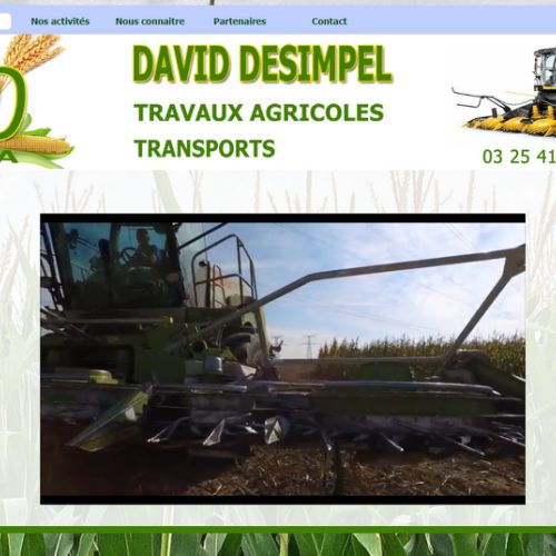 David Sesimpel